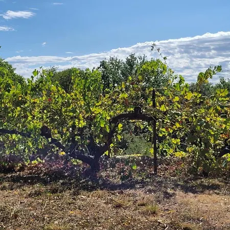 Le Domaine Du Soulier -gite Et D'hotes - La Maison Du Gardien