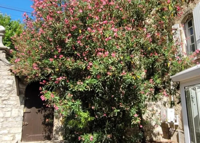 Apartman Le Domaine Du Soulier -gite Et D'hotes - La Maison Du Gardien